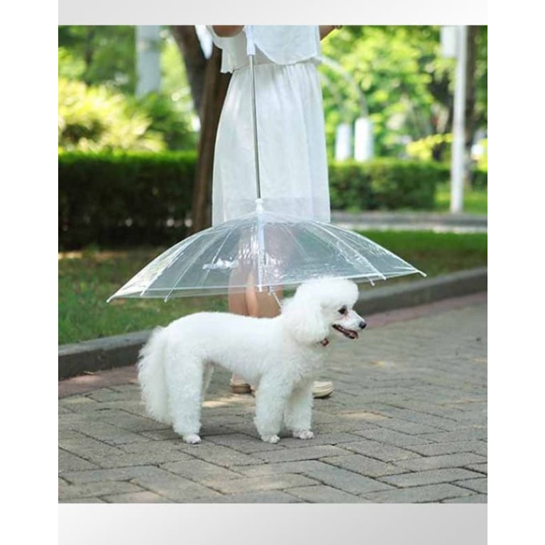Guarda Chuva Sombrinha para Cachorro Pet Umbrella