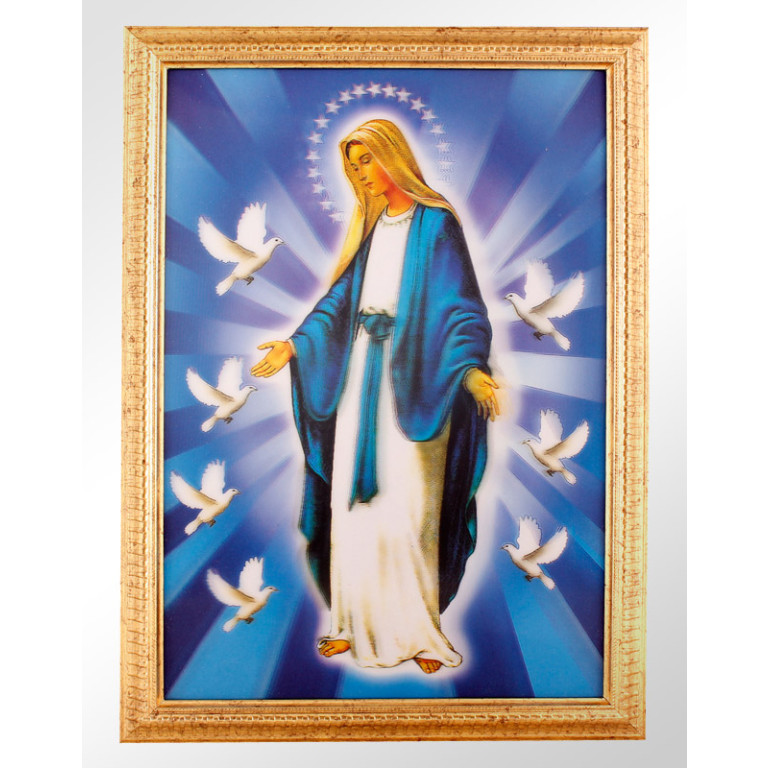 Quadro Decorativo Nossa Senhora das Graças 28,5 X 38,5 - Código 49124