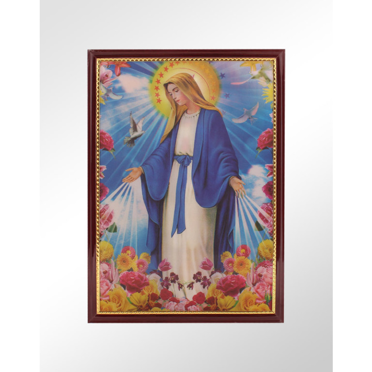 Quadro Decorativo Nossa Senhora das Graças 3D 25 X 35 - Código 51523
